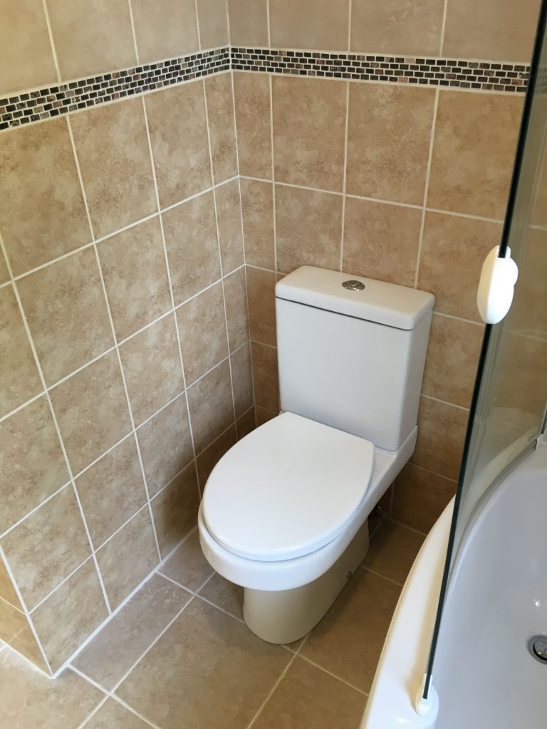 White toilet against clay tiled walls and mosaic trim next to white bath with clear glass shower screen